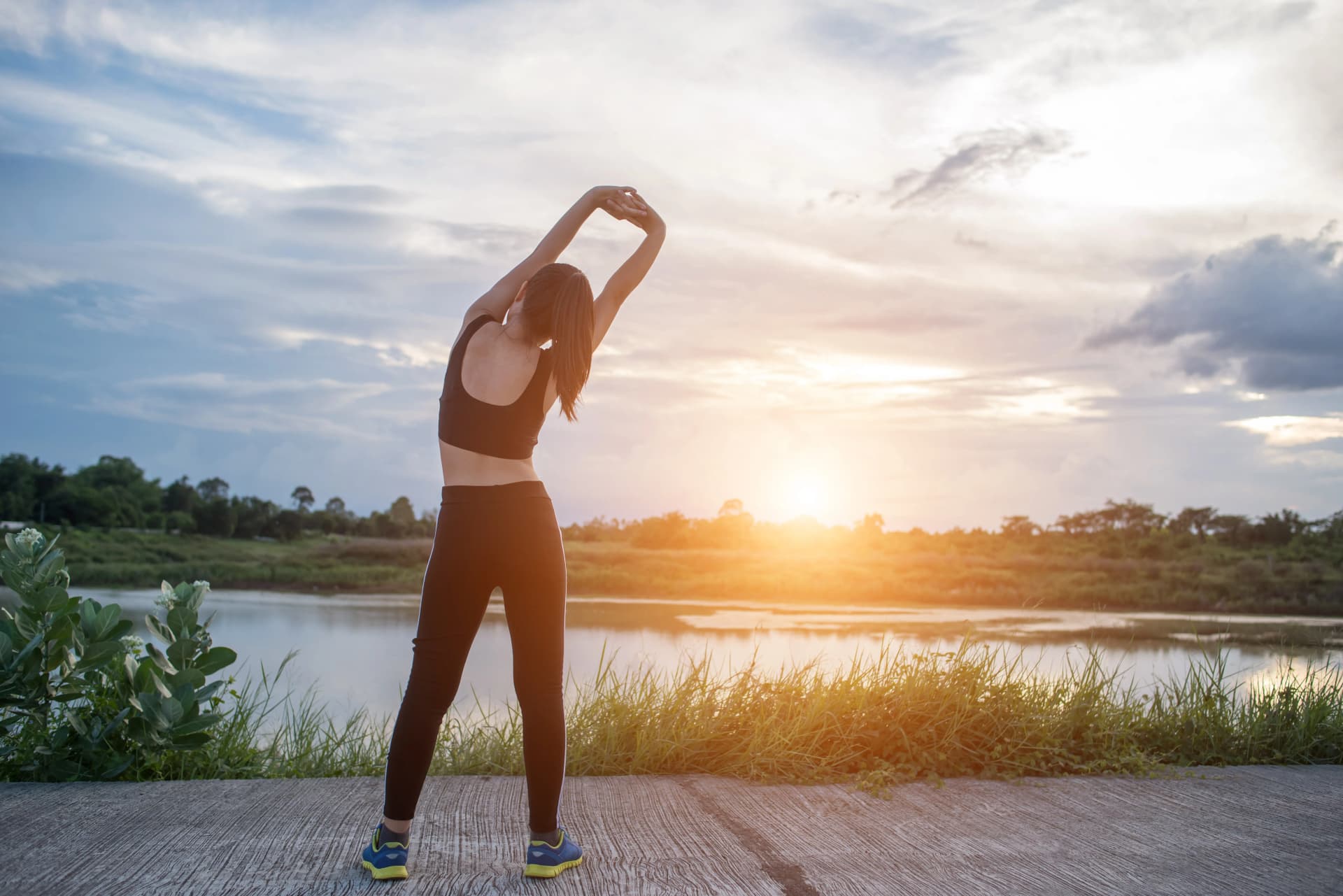 Making Sense of Life with Life in a Break Down